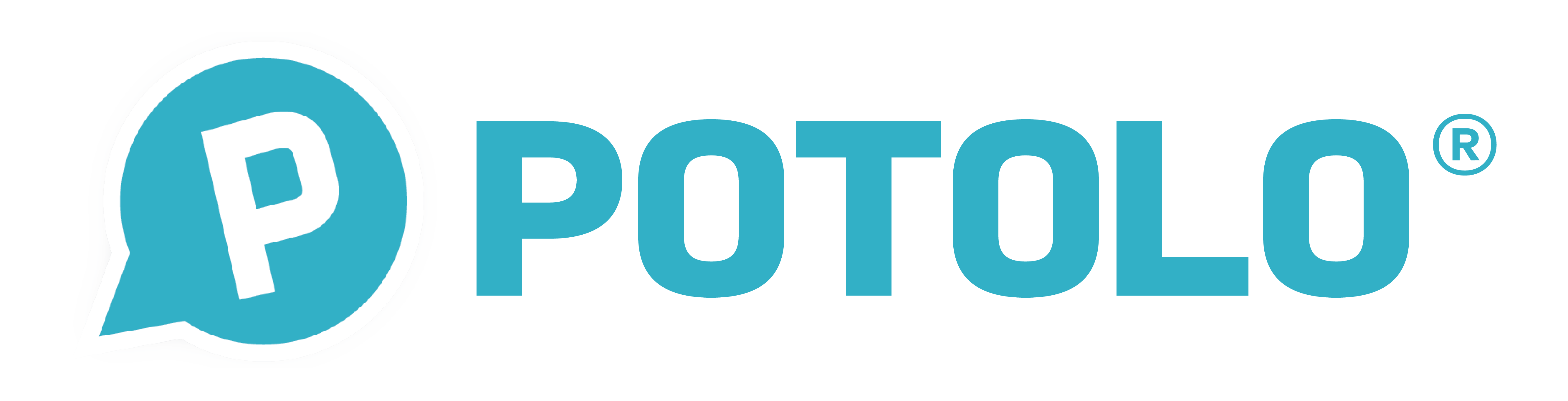 Potolo Grocery logo